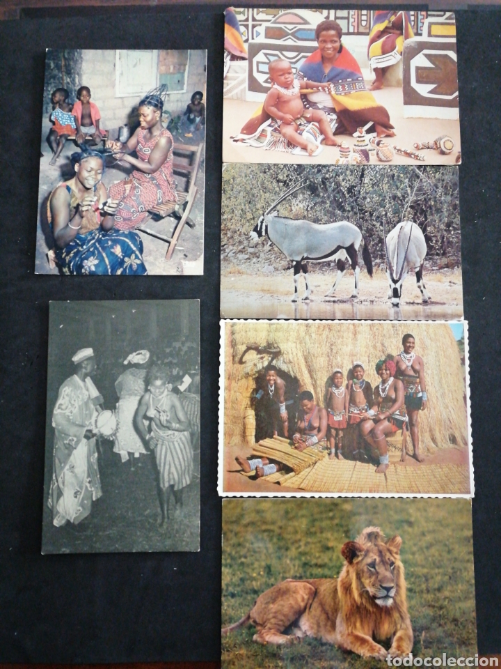 Postales: &Aacute;FRICA , LOTE DE 6 POSTALES - Foto 1
