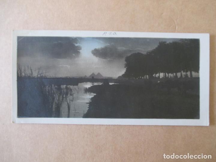 Postcards: TARJETA POSTAL DE EGIPTO. CAIRO. LANDSCAPE. N&ordm; 201.