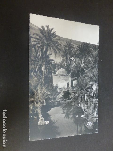 Postales: FEZ FEZ MARRUECOS - Foto 1