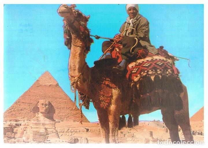 Postales: Postal de EGIPTO. Pir&aacute;mide de Giza. - Foto 1