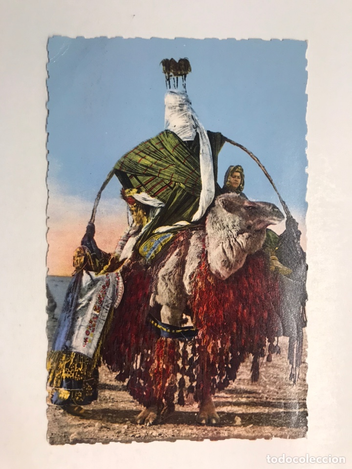 Postales: SCENES & TYPES d&rsquo;AFRQUE d&rsquo;AFRIQUE DU NORD, Escenas y tipos de Africa del Norte No.8552