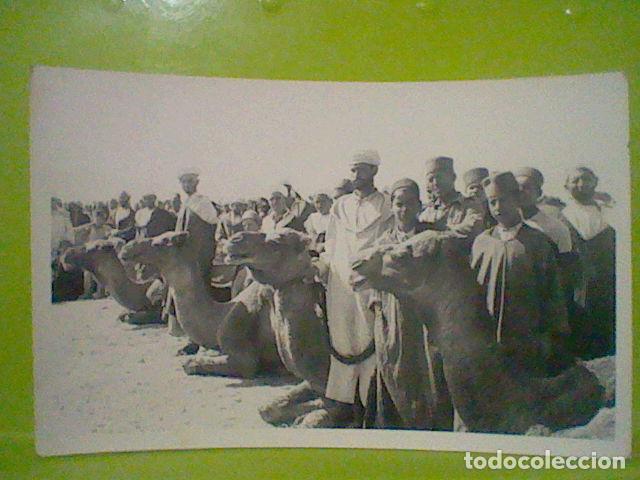 Postkarten: MARRUECOS CAMELLOS DROMEDARIOS MUY ANIMADA POSTAL FOTOGRAFICA 14 X 9 CMS