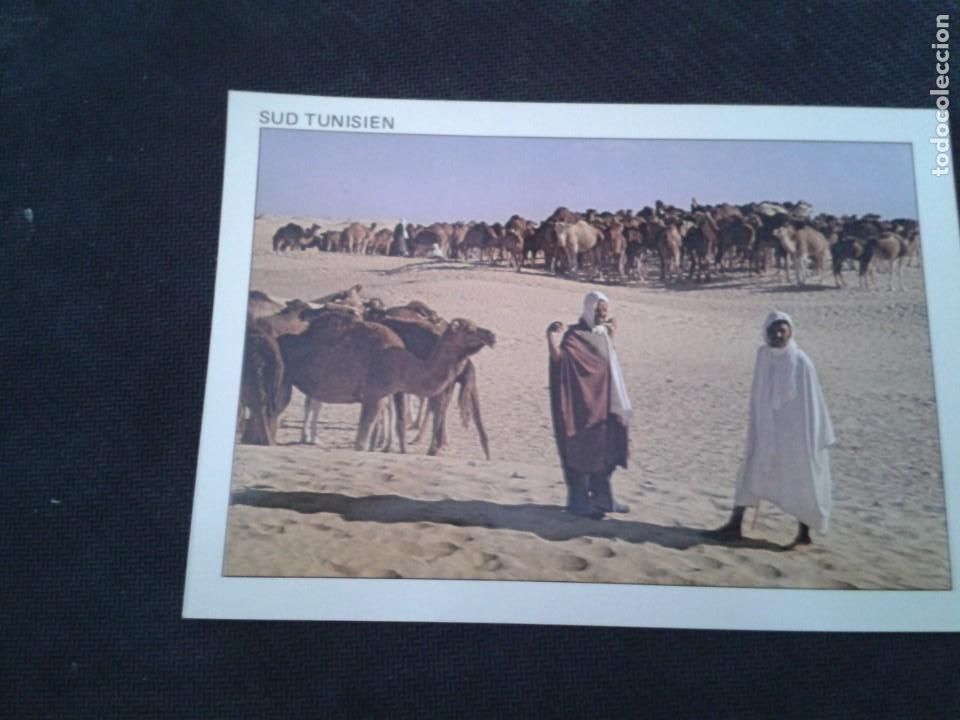 Cartes Postales: POSTAL CARAVANA. TUNEZ. SIN CIRCULAR