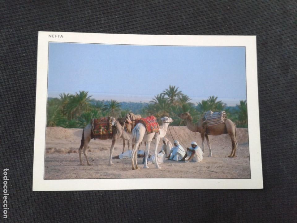 Postais: POSTAL NEFTA. TUNEZ. NO CIRCULADA
