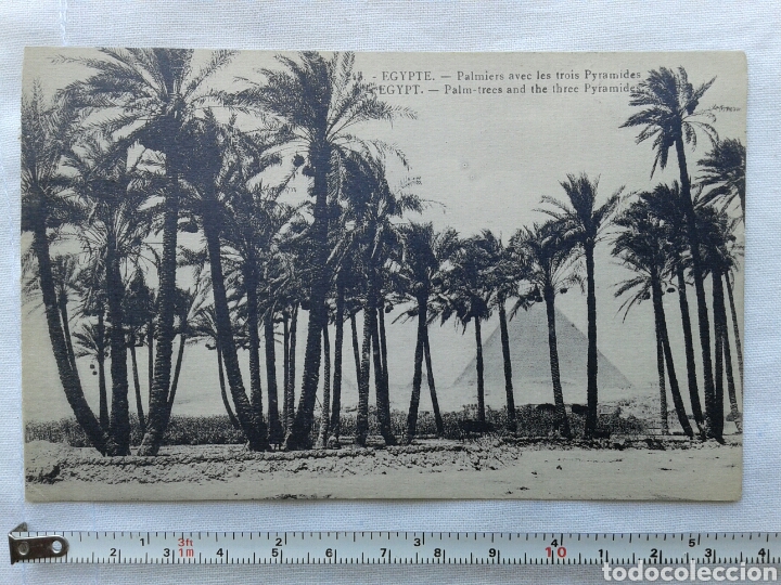 Postais: POSTAL ANTIGUA DE EGIPTO