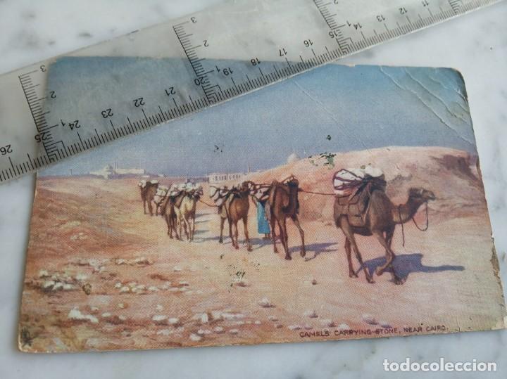Postales: postal camellos - Foto 1