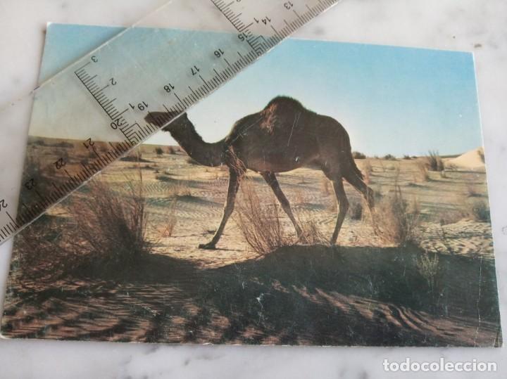 Postales: postal algeria - Foto 1