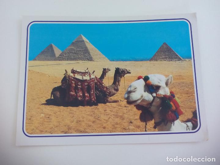 Postales: POSTAL. PYRAMIDS GIZA. . PIRAMIDES. EGIPTO. SIN CIRCULAR. POST CARD