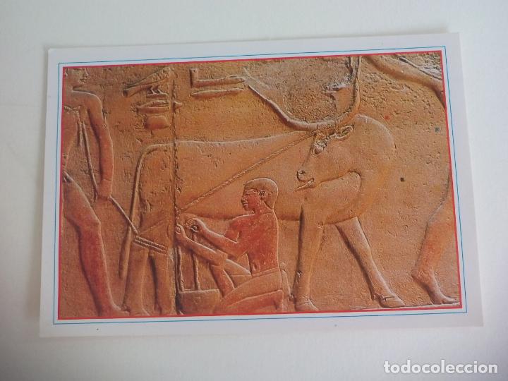Postales: POSTAL. EGYPYT. EGIPTO, SAKKARA KAGMENY TOMP. EL-BRICE CARDS. SIN CIRCULAR POST CARD