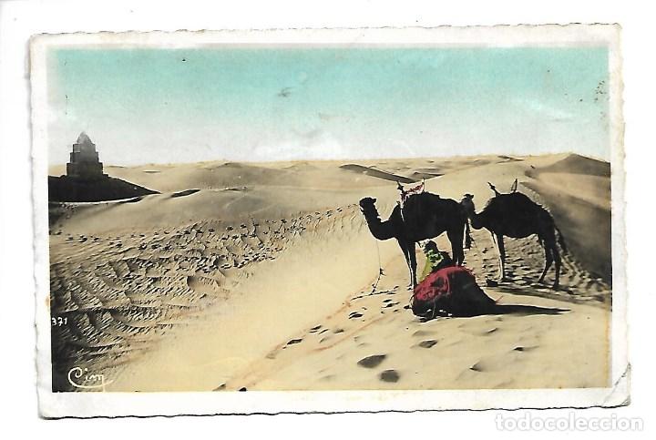 Postales: 3501- SAHARA - MAROC - ESCENAS TIPICAS DEL DESIERTO - CIRCULADA ,31 - 3 - 1.951
