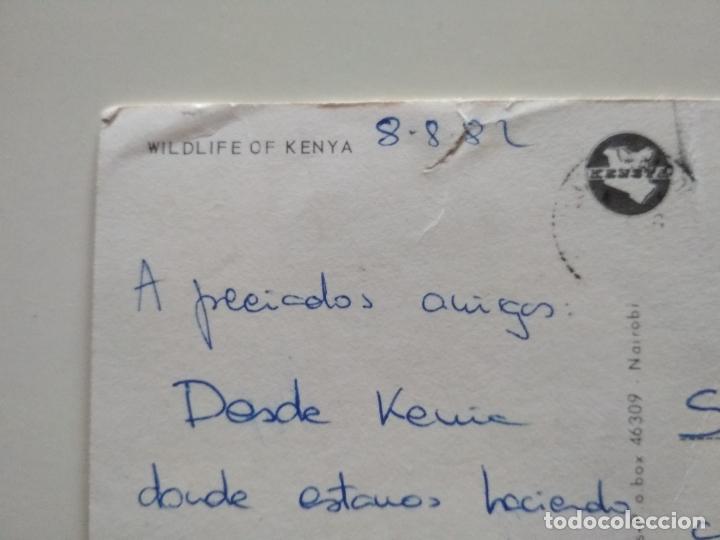 Postales: POSTAL KENIA JAMBO VIDA SALVAJE - Foto 2