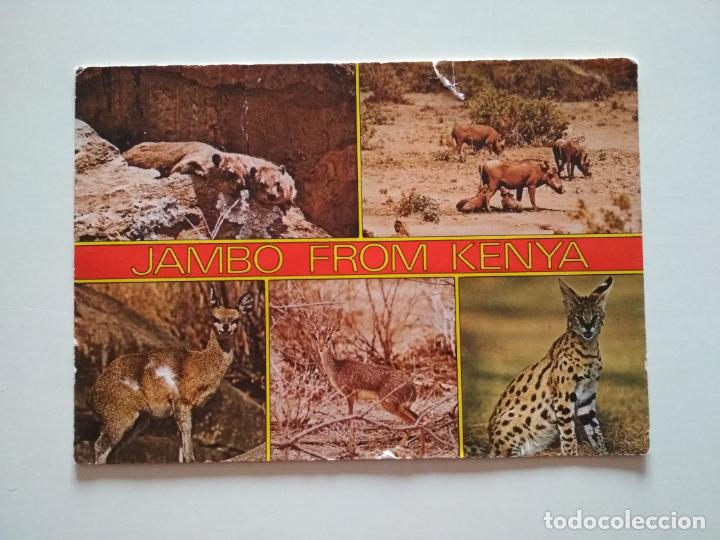 Postales: POSTAL KENIA JAMBO VIDA SALVAJE - Foto 1