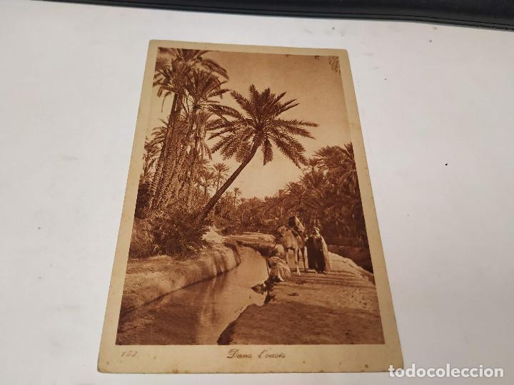 Postales: MARRUECOS - POSTAL DANS LOASIS - Foto 1