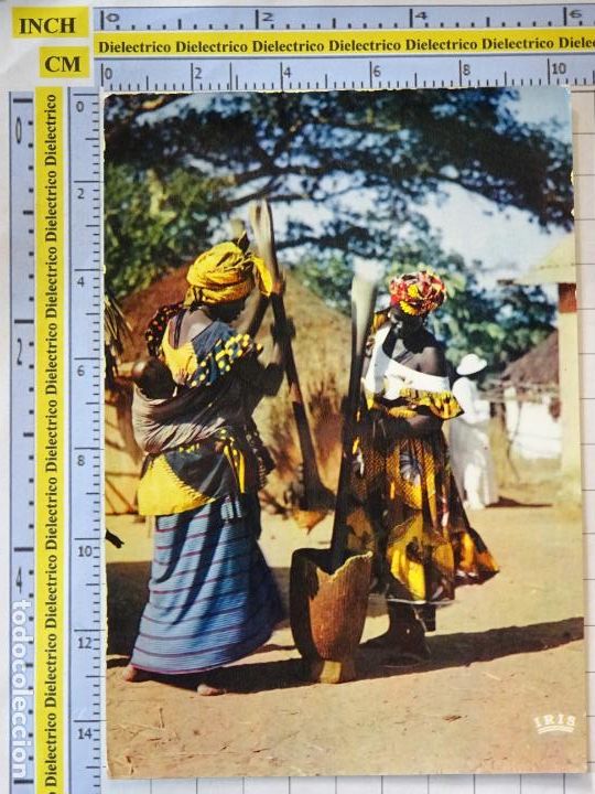 Cartes Postales: POSTAL DE &Aacute;FRICA SUBSAHARIANA. ESCENA VIVA TIPISMO FOLKLORE. MUJERES MOLIENDA COMIDA. 2571