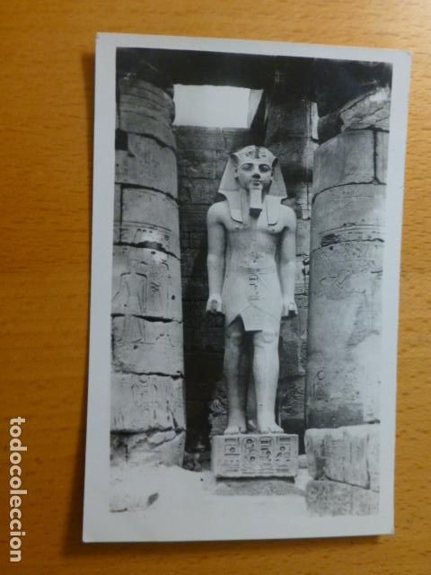 Postales: LUXOR EGIPTO POSTAL - Foto 1