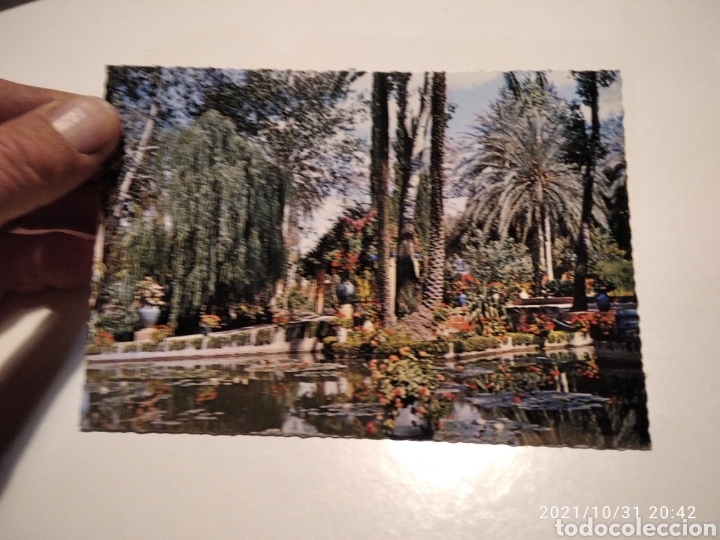 Postales: Postal Marrakech jard&iacute;n ex&oacute;tico - Foto 1
