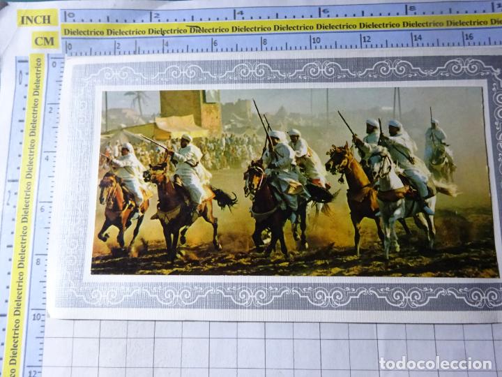 Cartoline: POSTAL. TIPISMO FOLKLORE ESCENA VIVA. &Aacute;FRICA DEL NORTE, CABALLER&Iacute;A FIESTA. ARGELIA MARRUECOS. 0