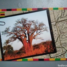 Postales: POSTAL ZIMBAWE AFRICA. Lote 300246193