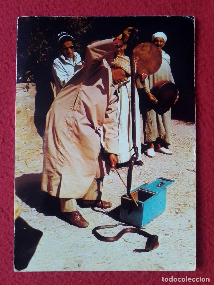 Postcards: POSTAL MARRUECOS MAROC MOROCCO TANGER ENCANTADOR DE SERPIENTES ENCHANTEUR DES SERPENTS COBRA ? SNAKE