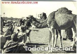 Postales: MARRAKECH - Foto 1