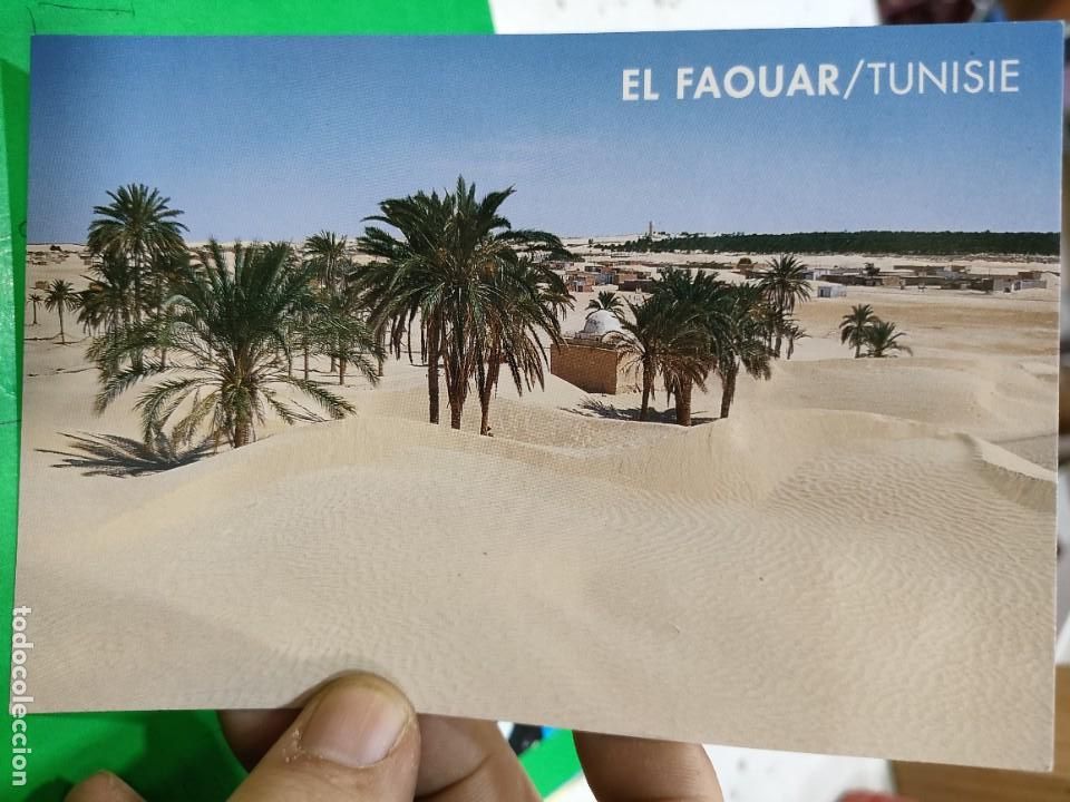 Postales: Postal TUNISIE El Faouar S/C - Foto 1