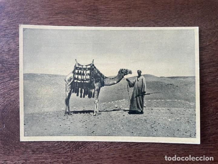 Postales: ANTIGUA POSTAL EGIPTO. - Foto 1