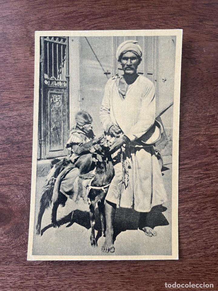 Postales: ANTIGUA POSTAL EGIPTO. - Foto 1