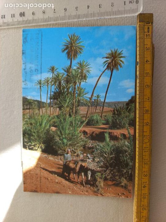 Cartoline: POSTAL MARRUECOS. MAROC PITTORESQUE. SUR LA ROUTE D'AMTOUDI. 1979. CIRULADA.. POST CARD