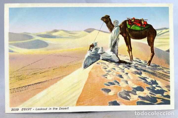 Postales: Postal Egipto Egypt Vista desierto Lehnert & Landrock 2059 sin circular
