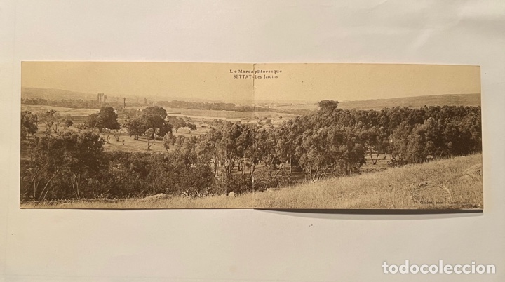 Postales: Le Maroc pittoresque. Postal SETTAT-Les lardins (h.1930?) Med&iacute;das: 9 x 28 cm., aproximadamente