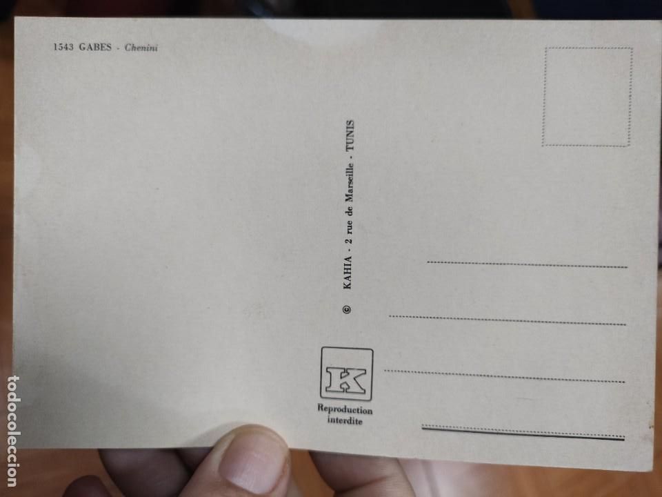 Postales: Postal TUNEZ Gabes Chemini S/C - Foto 2