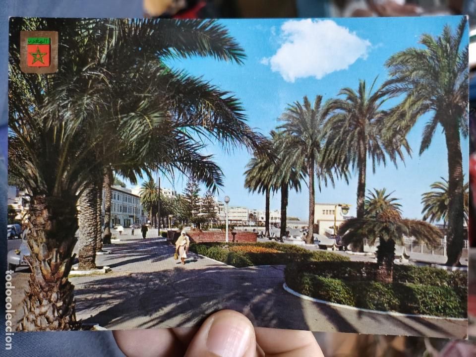 Cartoline: Postal TANGER Avenida de Espa&ntilde;a N 19 ESCUDO DE ORO S/C