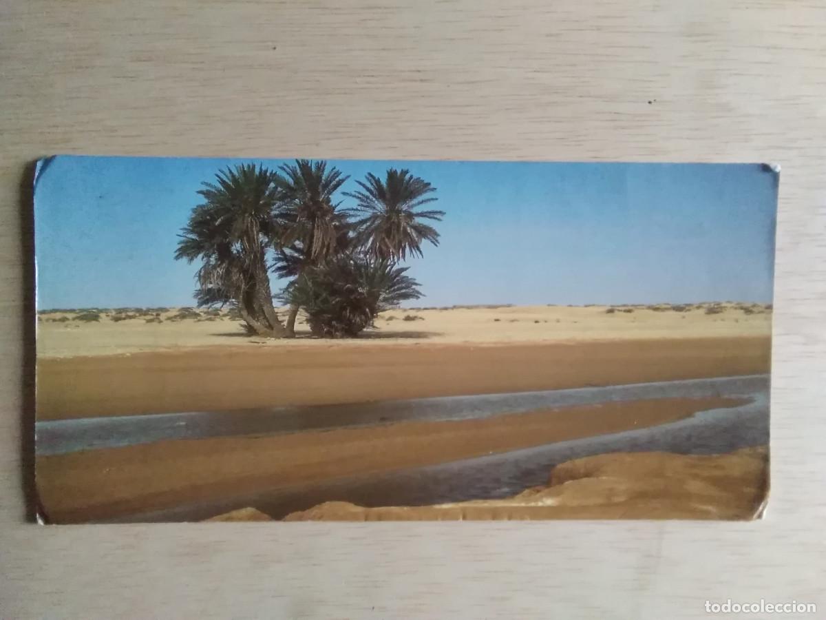 Postales: POSTAL SAHARA DE DOUZ - Foto 1