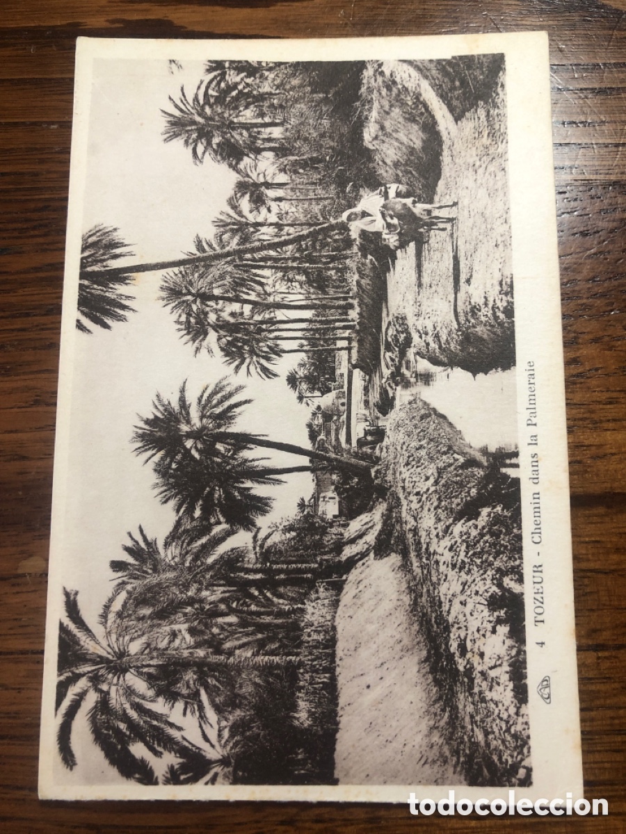 Postales: POSTAL TOZEUR ARGELIA - Foto 1