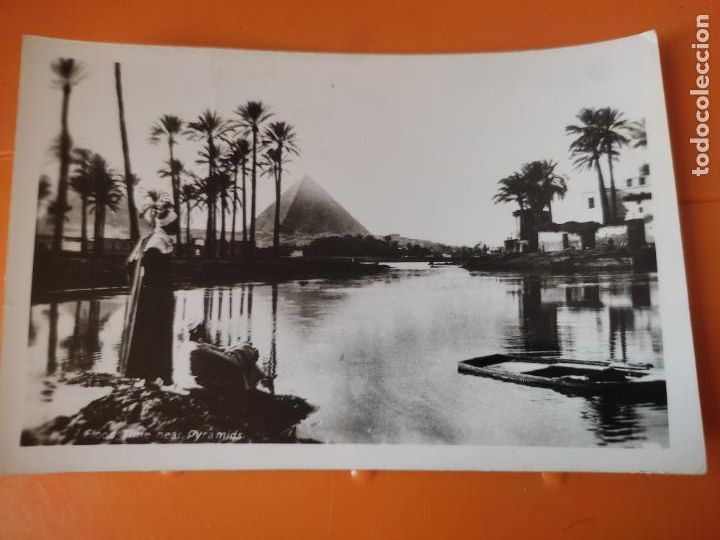 Postkarten: CAIRO FLOOD TIME NEAR PIRAMIDES A&Ntilde;OS 40 / 50 POSTAL SC ED LEHNERT AND LANDROCK ORIGINAL