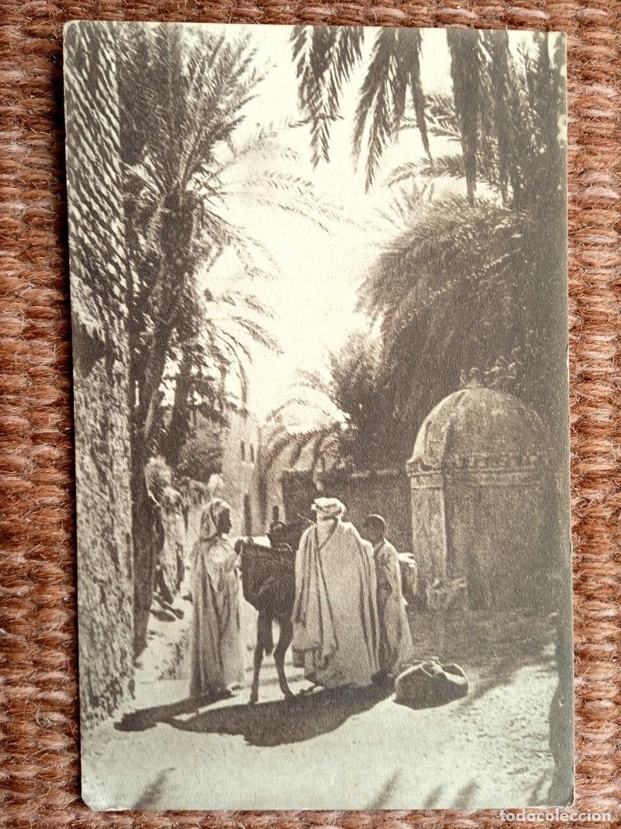 Postales: TANGER - MARRUECOS - Foto 1