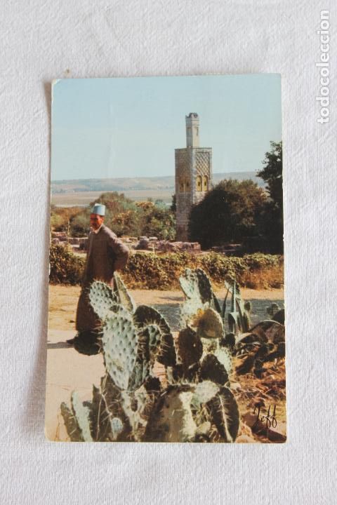Postales: RABAT LE CHELLAH - Foto 1