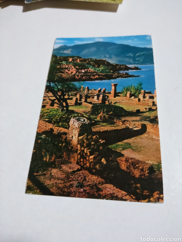 Postales: Postal tipaza ruinas castillo - Foto 1