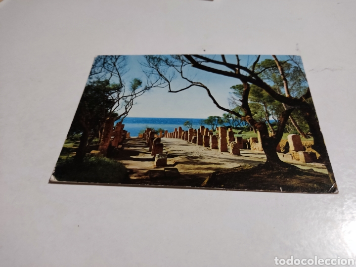 Postales: Postal tipaza Argelia - Foto 1