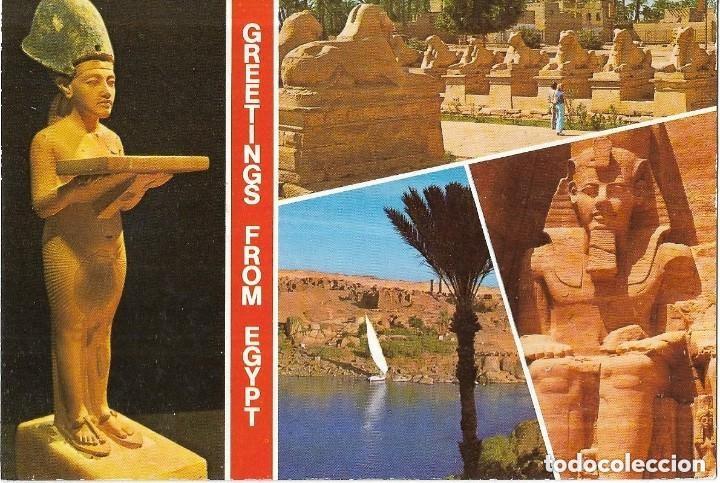 Postales: :::: LC338 - POSTAL - CAIRO EGYPTIAN MUSEUM - Foto 1