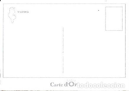 Postales: POSTAL A COLOR TUNIS TUNEZ - Foto 2