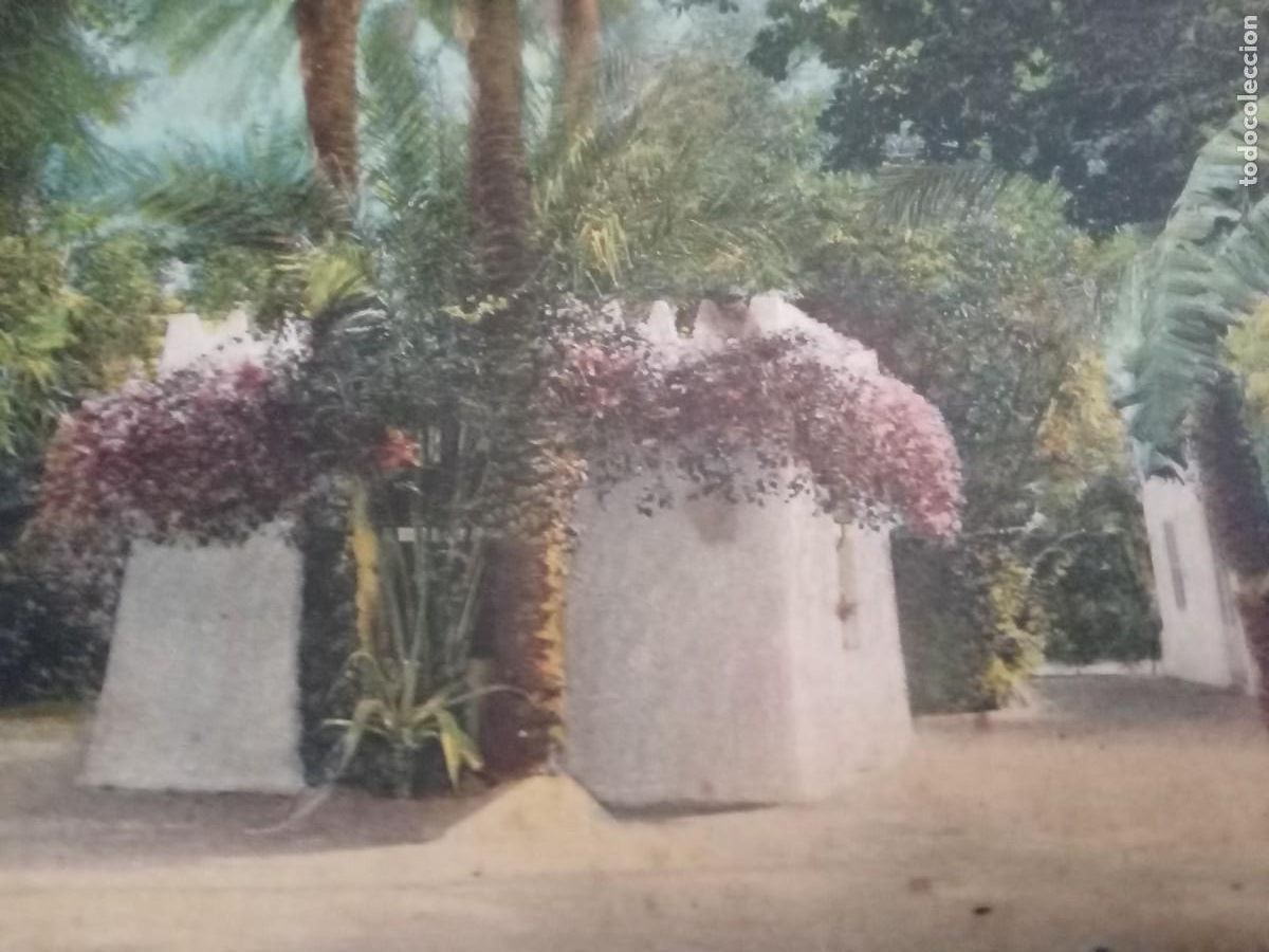 Postales: Biskra.Jardins Landon. - Foto 2