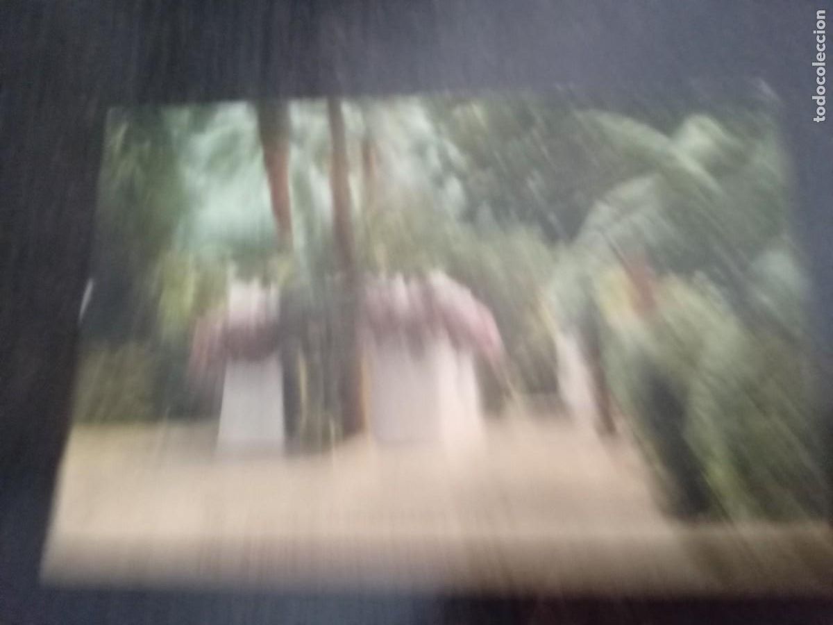 Postales: Biskra.Jardins Landon. - Foto 1