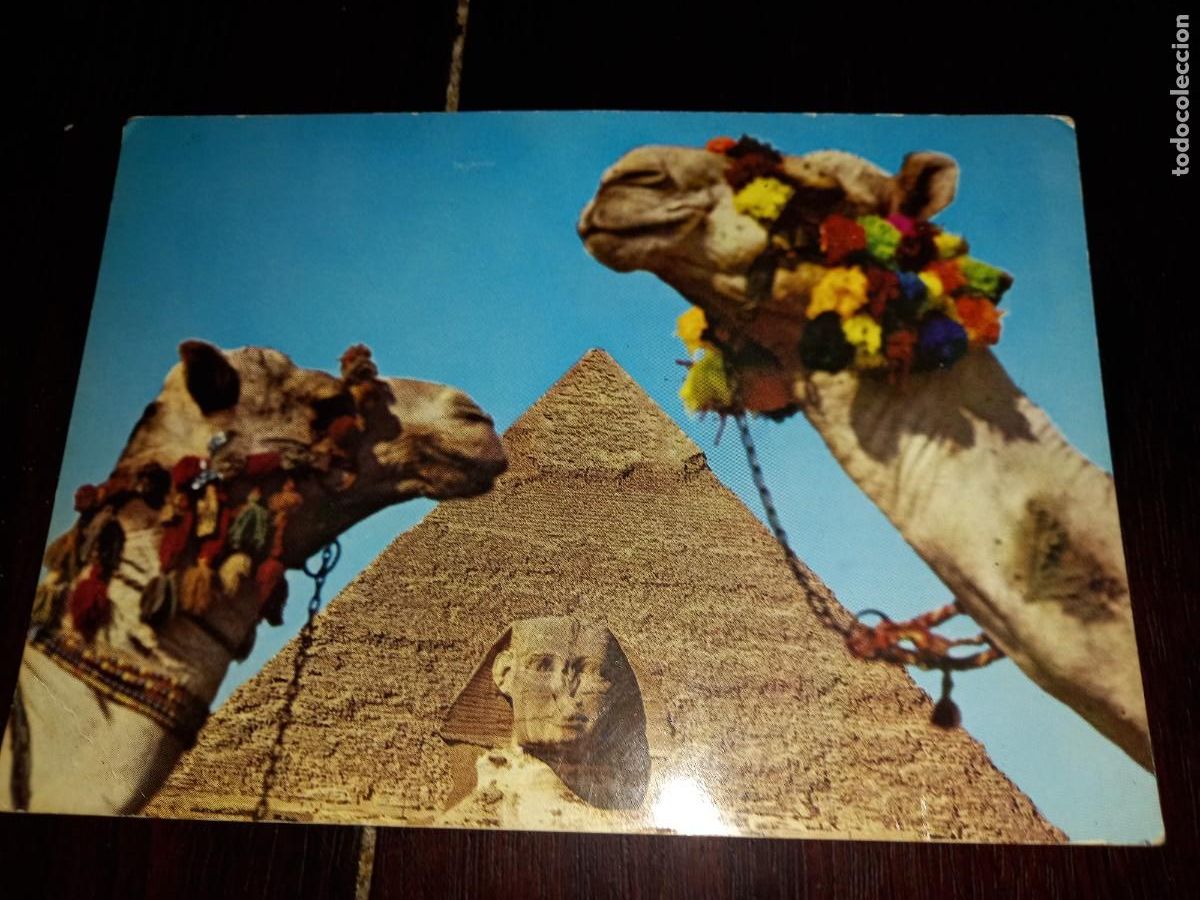Postales: N&ordm; 42898 POSTAL PYRAMIDE DE KHAFRE EGIPTO - Foto 1
