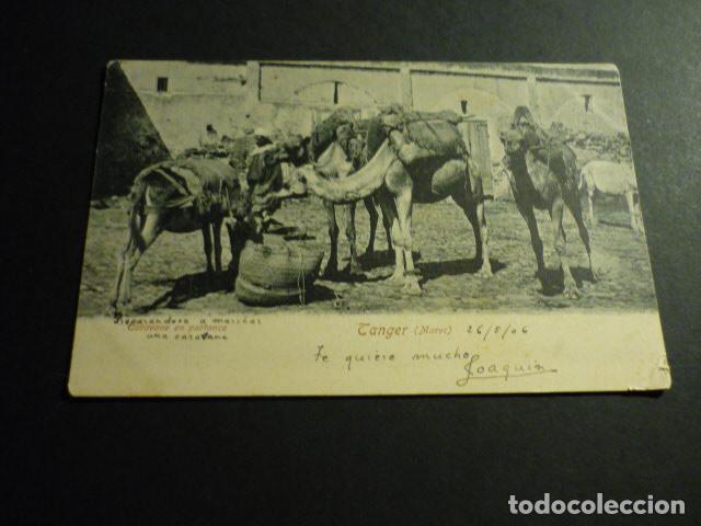 Postales: TANGER MARRUECOS POSTAL - Foto 1
