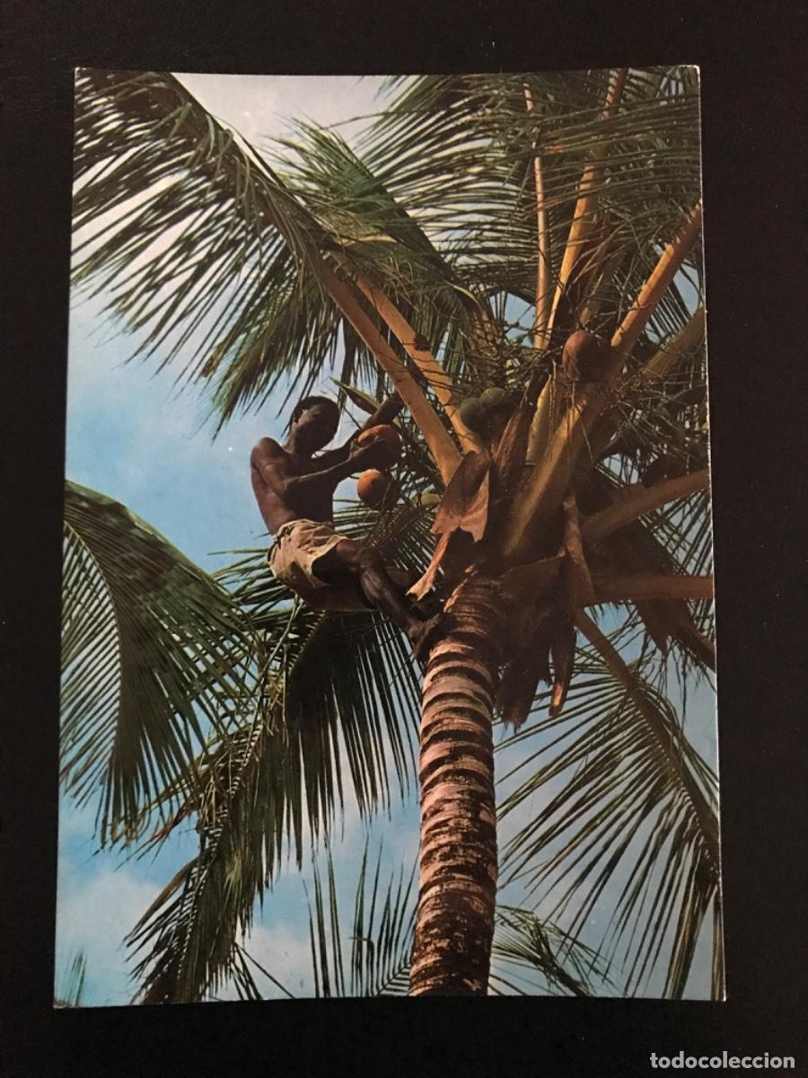Postales: Tarjeta postal de Kenia - Foto 1