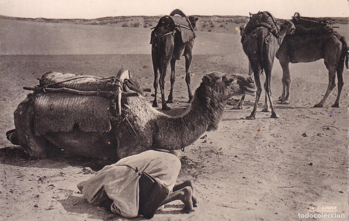 Postales: MARRUECOS SCENAS Y TIPOS - Foto 1