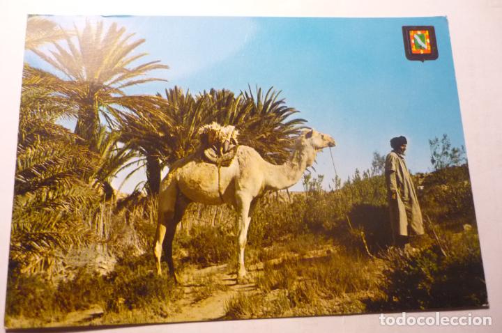 Postales: postal el aaiun - meseied oasis - Foto 1