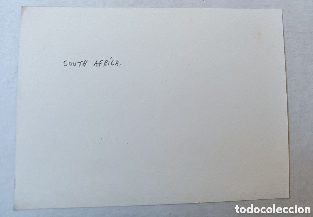 Postales: TARJETA POSTAL - Foto 2