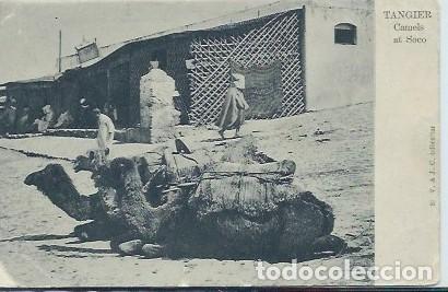Postales: T&Aacute;NGER (MARRUECOS) - CAMELLOS AL SOCO - Foto 1